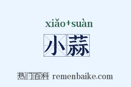小蒜是什么意思的图片